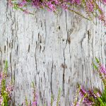 Heather on the old wood