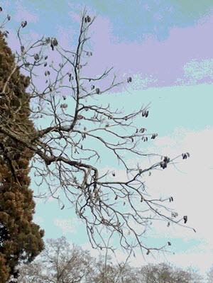 Im Stuttgarter Schlossgarten